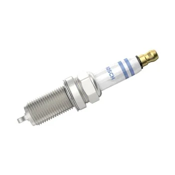 بوجيهات كادجار بوش